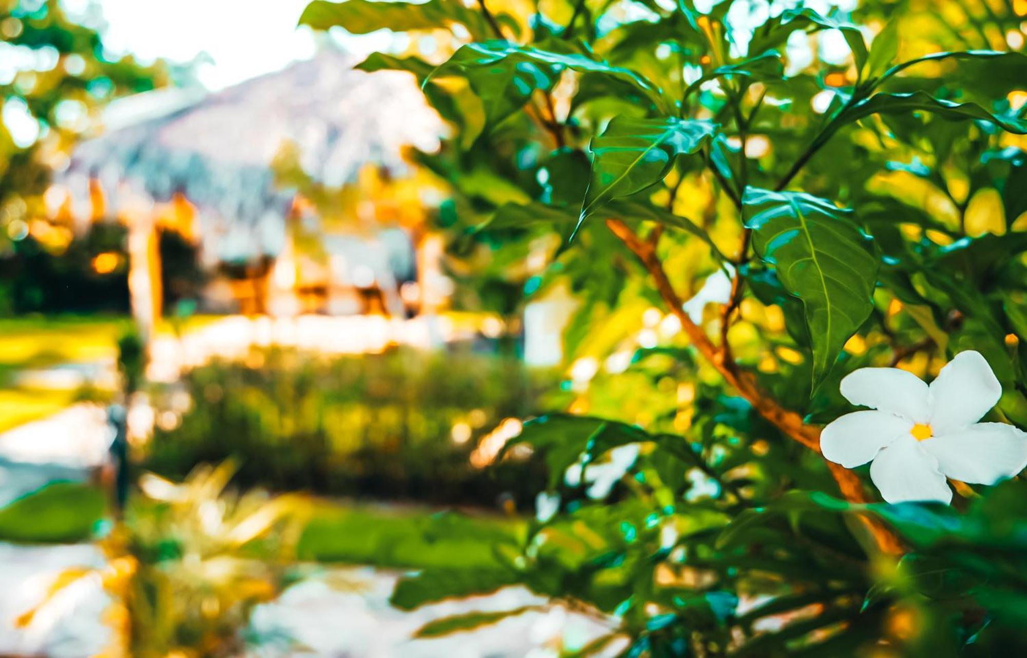Hotel Enjoy Las Terrenas Luaran gambar