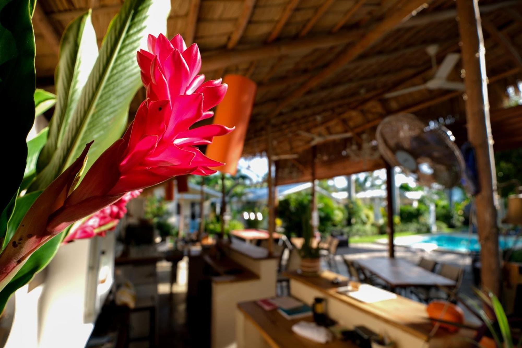 Hotel Enjoy Las Terrenas Luaran gambar